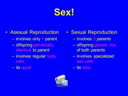 Sex! Asexual Reproduction –involves only 1 parent –offspring genetically identical to parent –involves regular body cells –its quick Sexual Reproduction.