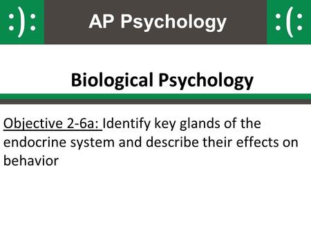 AP Psychology Biological Psychology Objective 2-6a: Identify key glands of the endocrine system and describe their effects on behavior.