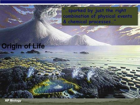 AP Biology Origin of Life “…sparked by just the right combination of physical events & chemical processes…”
