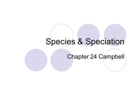 Species & Speciation Chapter 24 Campbell. Allele frequency and gene pools Gene pool: all the genetic information present in the reproducing members of.