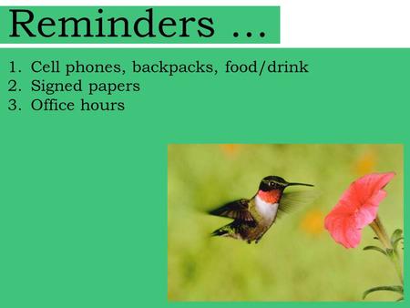 Reminders … 1.Cell phones, backpacks, food/drink 2.Signed papers 3.Office hours.