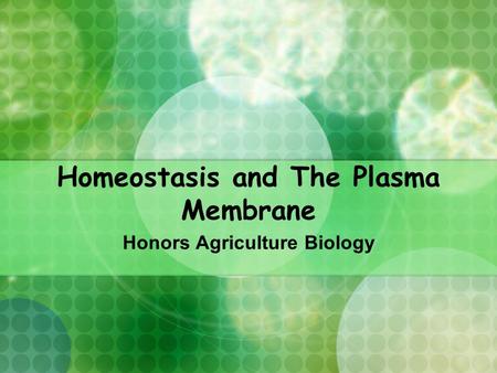 Homeostasis and The Plasma Membrane Honors Agriculture Biology.
