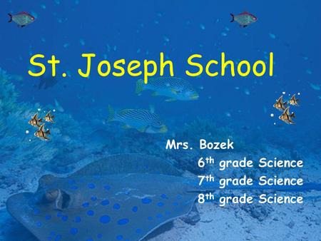 St. Joseph School Mrs. Bozek 6 th grade Science 7 th grade Science 8 th grade Science.
