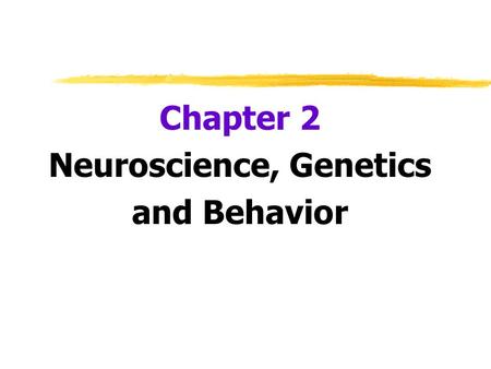 Chapter 2 Neuroscience, Genetics and Behavior. Neural Communication  Biological Psychology  branch of psychology concerned with the links between biology.
