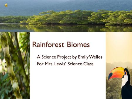 Rainforest Biomes A Science Project by Emily Welles For Mrs. Lewis’ Science Class.