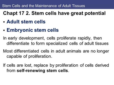Stem Cells and the Maintenance of Adult Tissues