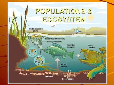 POPULATIONS & ECOSYSTEM. BIOSPHERE The thin upper part of earth’s surface and its atmosphere is capable of supporting life.