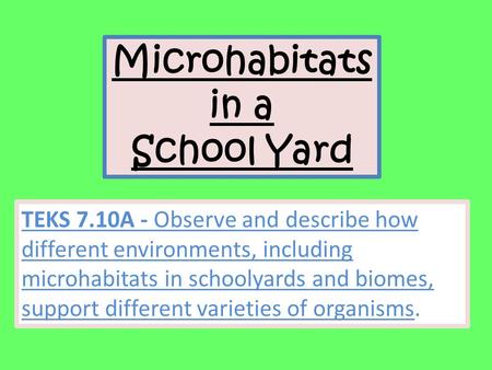 Microhabitats in a School Yard