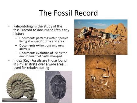 The Fossil Record Paleontology is the study of the fossil record to document life’s early history – Documents patterns within species living at a specific.
