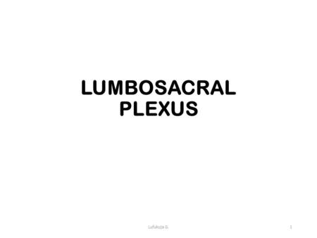 LUMBOSACRAL PLEXUS Lufukuja G..