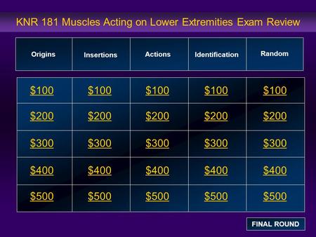KNR 181 Muscles Acting on Lower Extremities Exam Review $100 $200 $300 $400 $500 $100$100$100 $200 $300 $400 $500 Origins Insertions Actions Identification.