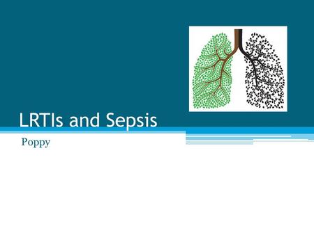LRTIs and Sepsis Poppy. Bronchitis/Pneumonia Bronchitis ▫Infection & inflammation of airways Pneumonia ▫Infection & inflammation of alveoli.