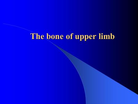 The bone of upper limb. the shoulder girdle the bone of free upper limb clavicle scapula humerus radius ulna the bone of hand carpal bones metacarpal.