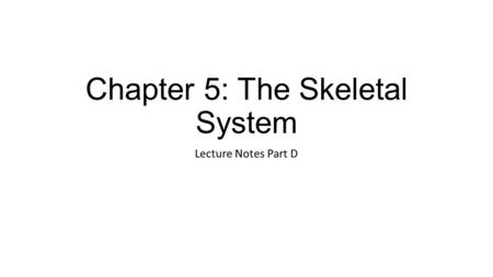 Chapter 5: The Skeletal System Lecture Notes Part D.