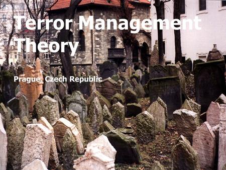 Terror Management Theory