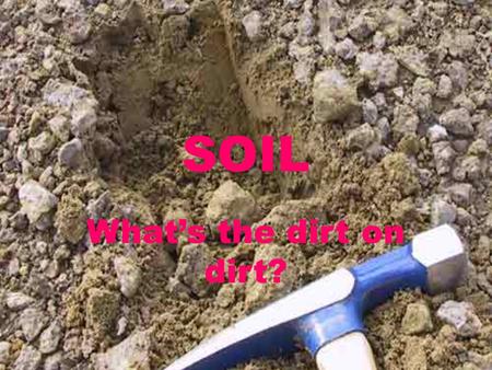 SOIL What’s the dirt on dirt?. Why study soil in environmental science??? Soils are the foundation for terrestrial ecosystems. Understanding soils and.