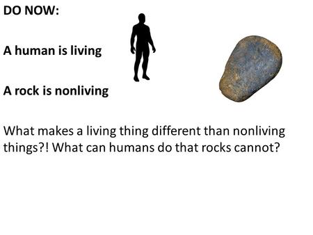 DO NOW: A human is living A rock is nonliving What makes a living thing different than nonliving things?! What can humans do that rocks cannot?
