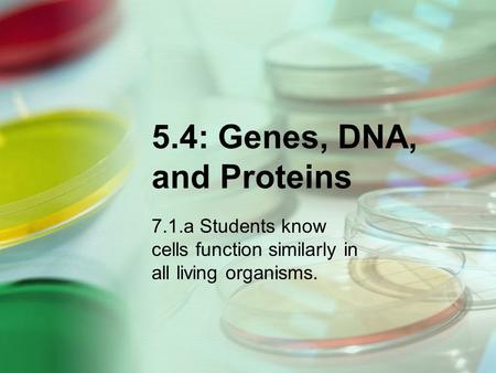 5.4: Genes, DNA, and Proteins 7.1.a Students know cells function similarly in all living organisms.