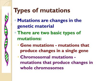 Types of mutations Mutations are changes in the genetic material