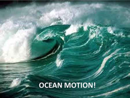 Ocean Motion OCEAN MOTION!.