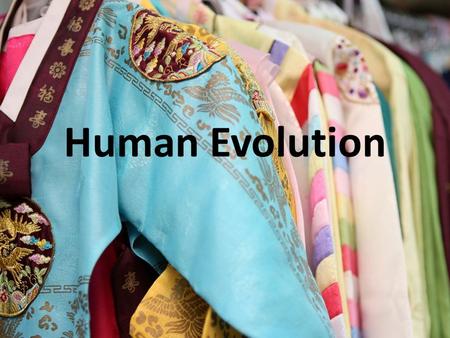 Human Evolution. Where did hominids evolve? Where do we live now?