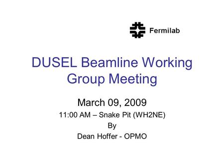 DUSEL Beamline Working Group Meeting March 09, 2009 11:00 AM – Snake Pit (WH2NE) By Dean Hoffer - OPMO.