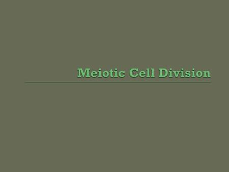  Describe the result of meiotic division in terms of sexual reproduction  Discuss the structure of homologous chromosomes  Describe chromosomes in.