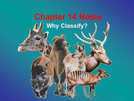 Chapter 14 Notes Why Classify?. 14.1 Categories of Biological Classification: 1. Why Classify? –Eliminate confusion –Organize information –Reveal Evolutionary.
