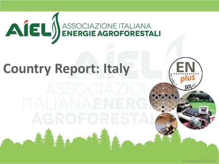 © Copyright 2015 AIEL Country Report: Italy. © Copyright 2015 AIEL About AIEL? The Italian Market from a Global Point of View The Figures of the Italian.