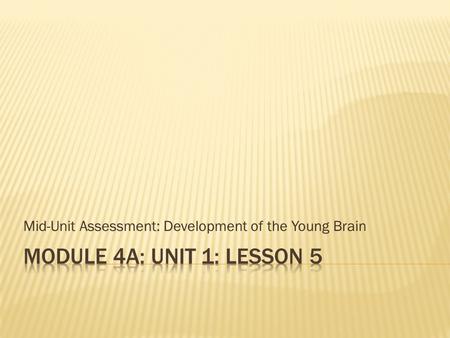 Mid-Unit Assessment: Development of the Young Brain.