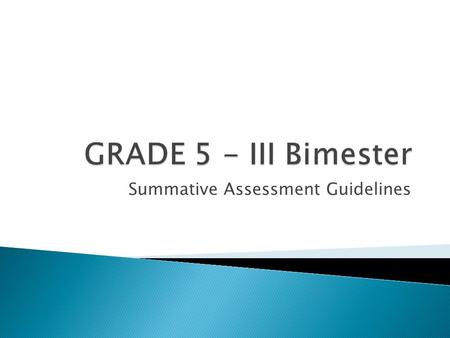 Summative Assessment Guidelines