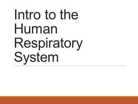 Intro to the Human Respiratory System