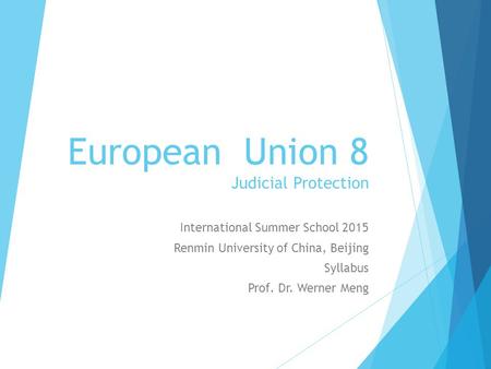 European Union 8 Judicial Protection