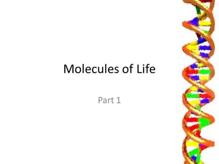 Molecules of Life Part 1. Learning Objectives Explain that the mitochondria is the site of respiration. Describe how Watson & Crick built a model of DNA.