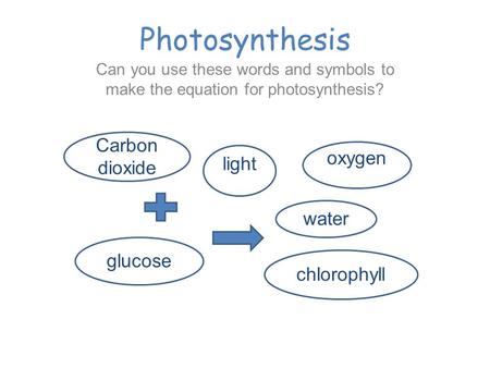 Photosynthesis Can you use these words and symbols to make the equation for photosynthesis? Carbon dioxide oxygen chlorophyll water glucose light.