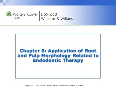 I. Internal Pulp Cavity Morphology Related to Endodontic  and Restorative Therapy
