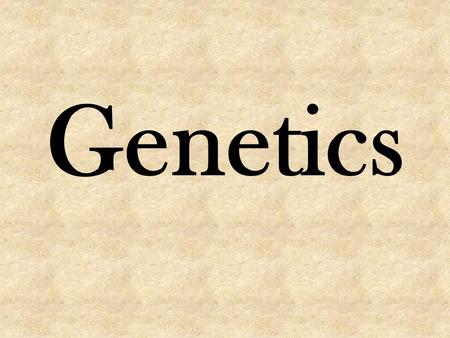 Genetics. What is Genetics? Genetics is the study of genes and heredity (passing of traits from generation to generation). Genes carry the information.