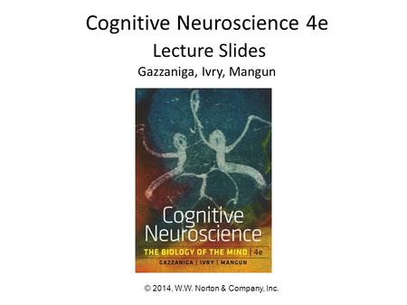 Cognitive Neuroscience 4e Lecture Slides Gazzaniga, Ivry, Mangun © 2014, W.W. Norton & Company, Inc.