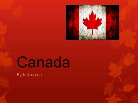 Canada By buttercup. introduction  Hello my name is buttercup.  I am going to do a project on Canada.  Hope you enjoy.