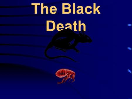 The Black Death. Key questions There are 3 questions that will be asked during the course of the lesson; 1.What is the “Black Death”? 2.What caused the.