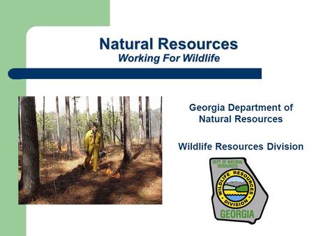 Natural Resources Working For Wildlife Georgia Department of Natural Resources Wildlife Resources Division.