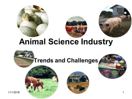1/11/20161 Animal Science Industry Trends and Challenges.