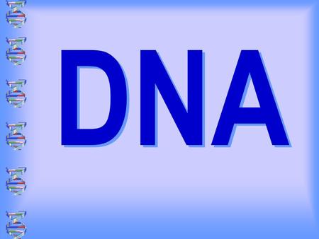 DNA. Name the organelle and give its function. Animal Plant Nucleus Ribosome Endoplasmic Reticulum: aids in processing carbohydrates, lipids and proteins.