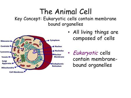 All living things are composed of cells