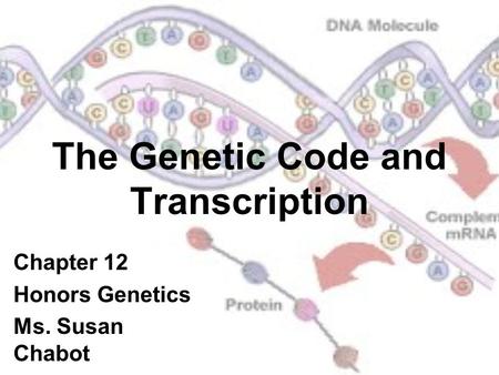 The Genetic Code and Transcription Chapter 12 Honors Genetics Ms. Susan Chabot.