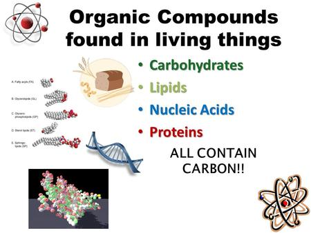 Organic Compounds found in living things Carbohydrates Carbohydrates Lipids Lipids Nucleic Acids Nucleic Acids Proteins Proteins ALL CONTAIN CARBON!!