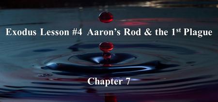 Exodus Lesson #4 Aaron’s Rod & the 1 st Plague Chapter 7.