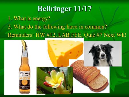Bellringer 11/17 1. What is energy? 2. What do the following have in common? Reminders: HW #12, LAB FEE, Quiz #7 Next Wk!