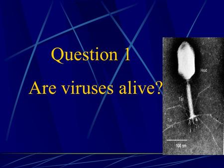 Question 1 Are viruses alive?. Study of viral DNA helped unravel the key to the inheritable chemical. Protein – vs- nucleic acid Virus has both and.