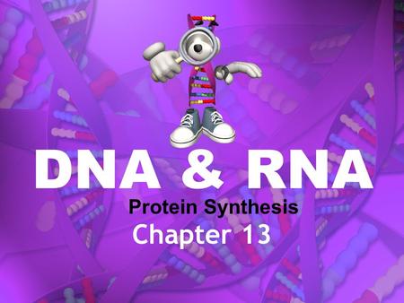 DNA & RNA Chapter 13 Protein Synthesis. DNA Deoxyribonucleic Acid RNA Ribonucleic Acid.